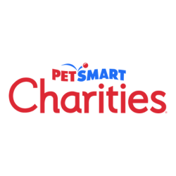 Untitled design (49)