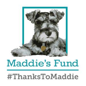 thanks-to-maddie-reverse-square