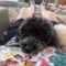 Bailey Jones